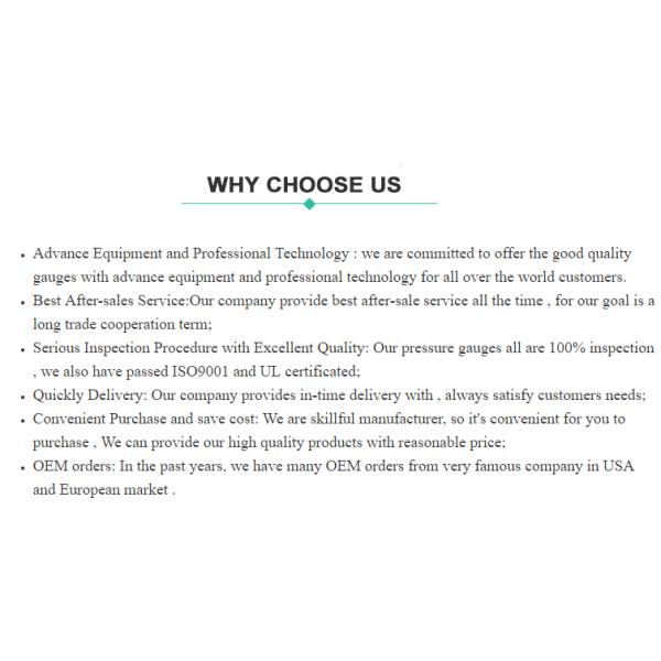 Stainless Steel Bourdon Tube Pressure Gauge 60mm Bottom Connection