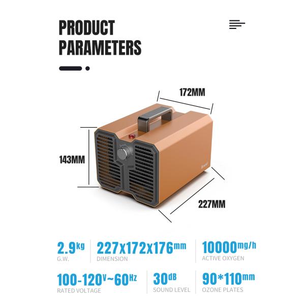 Fast Purification Ozone Generator Air Purifier Professinal 227x172x176 Mm