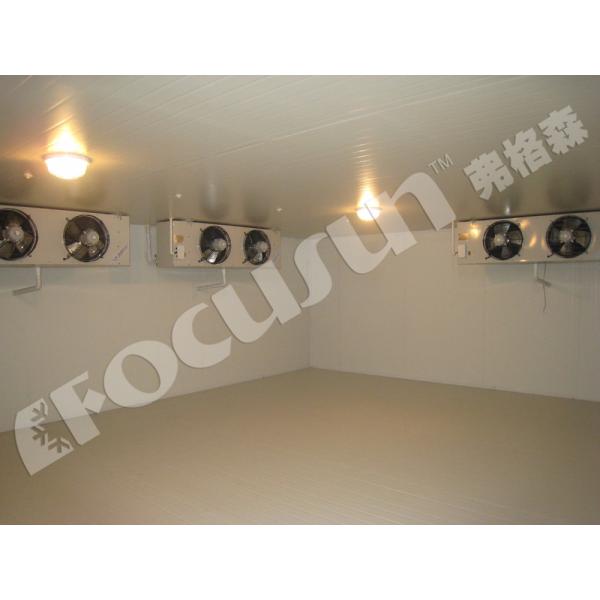 Cold Room Freezer for Vegetables Fruit Meat And Seafood