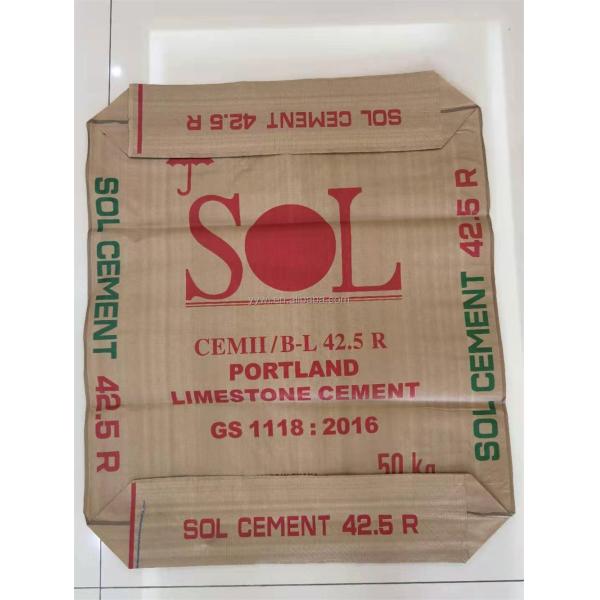 Custom Order PP Woven Valve Bag with Offset Printing for Industrial Agriculture