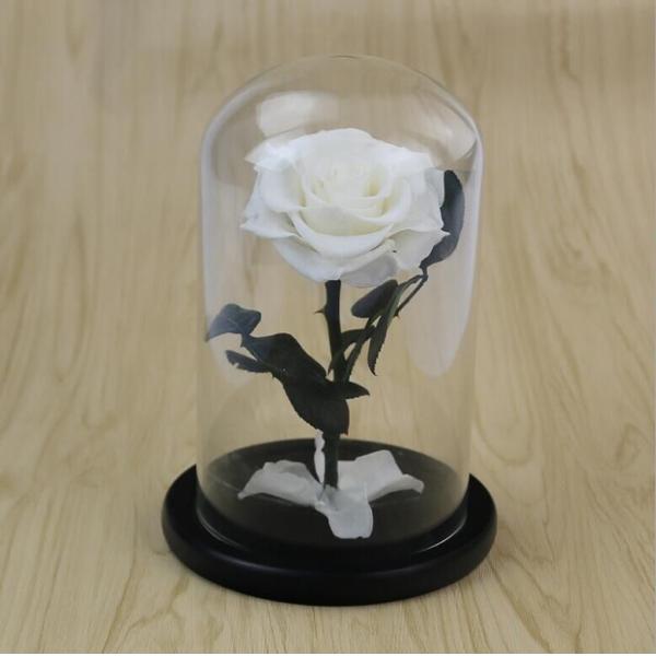 Preserved Fresh Flower Live Enchanted Rose in Glass Dome Cover with Gift Box Forever Real Rose Everlasting Flower