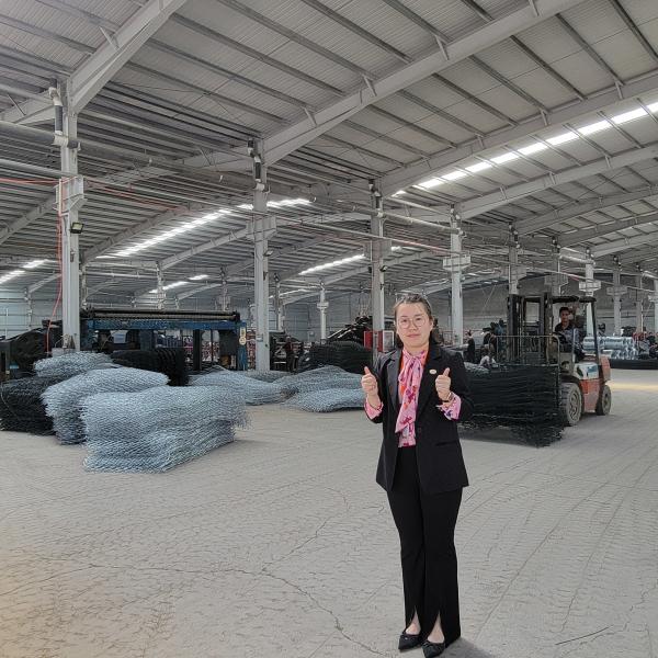 Pvc Coated Galvanized Gabion Wire Mesh Hexagonal Gabion Basket Wall For Water Conservancy And Eco Projects