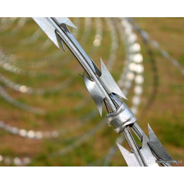 Electro Galvanized1.5mmx1.5mm Diamond Welded Razor Wire Mesh