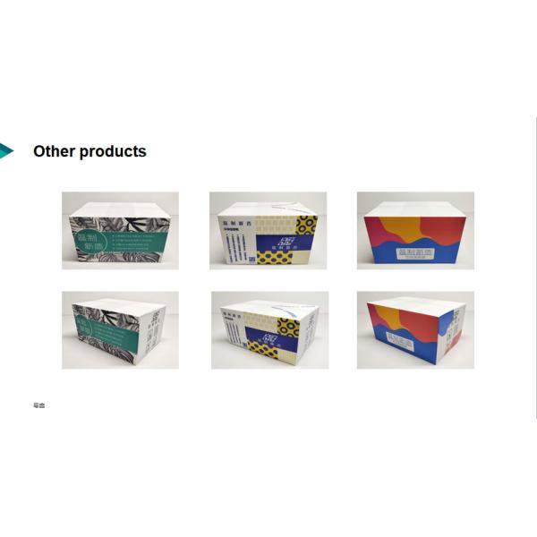 Light Duty Corrugated Plastic Christmas Decorations HD Design