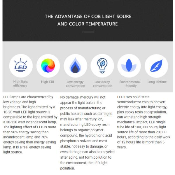 Bridgelux 5W COB LED Chip 300mA 13.5*13.5/11 For Ceiling Lamp
