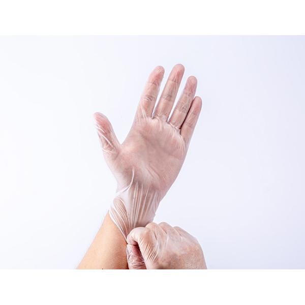 Ambidextrous Non Medical Disposable Vinyl Gloves With Powdered Free S M L XL