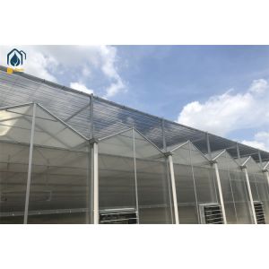 China Double Wall PC Polycarbonate Greenhouse Farming Steel Frame Greenhouse wholesale
