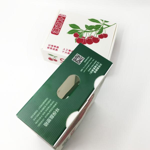 Moisture Resistance Frozen Food Carton Corrugated PP Box HD Printing Honeycomb