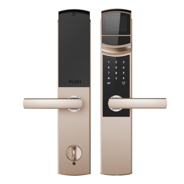 IRL200 Stainless Steel Biometric Gate Lock With Emergency Key 1s Average Recognition Time