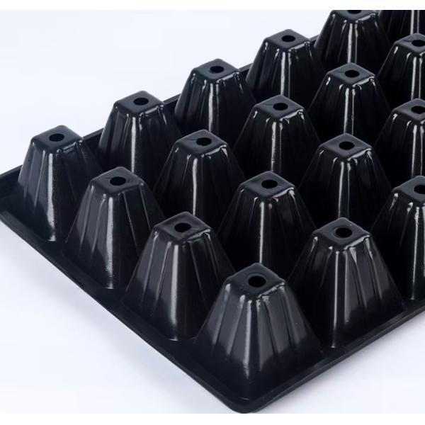 Rectangular Nursery Seedling Tray PS Plastic 32 Cell Seed Starter Tray