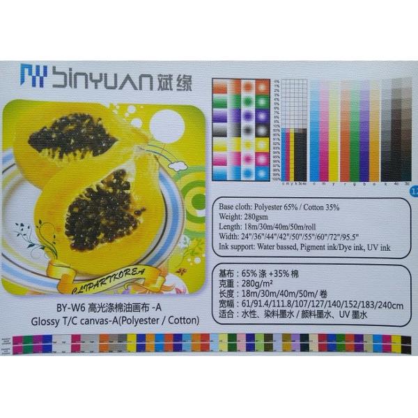 BY-W6 Glossy Dye ink T/C Polyester-Cotton Art printing Canvas