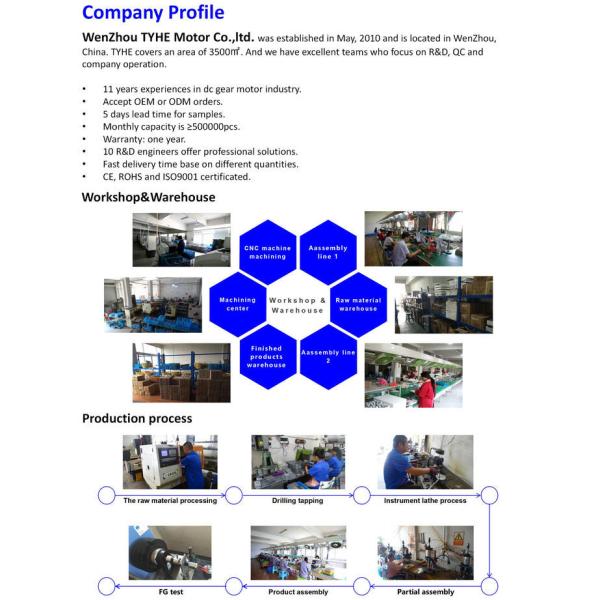 16mm Diameter High Torque Low 10 Rpm RF130 Dc Brushed Gear Motor with ce and rohs for Medical Equipment 2