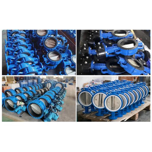 DN250 ANSI 150LB Standard Clamp Type Butterfly Valve Cast Steel Handle