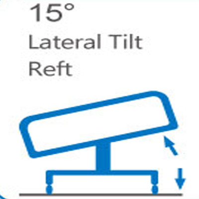 2150MM 250KGS Electric Medical Automatic Patient Bed For Home ICU Adjustable
