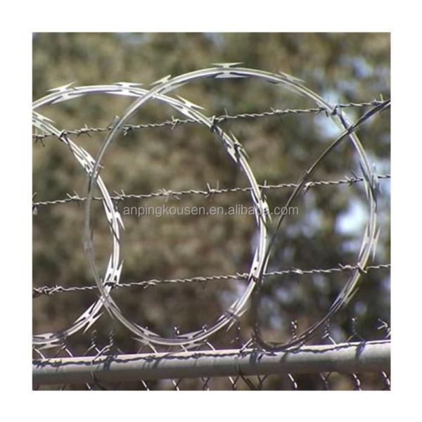 Galvanized/PVC Coated Razor Barbed Wire Mesh Fence for Prison Security at Affordable