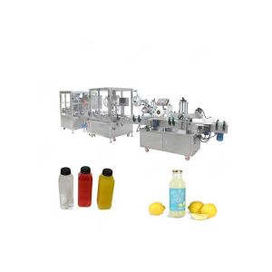 China GELGOOG Fully Automatic Juice Filling and Sealing Machine 100-1000ml wholesale