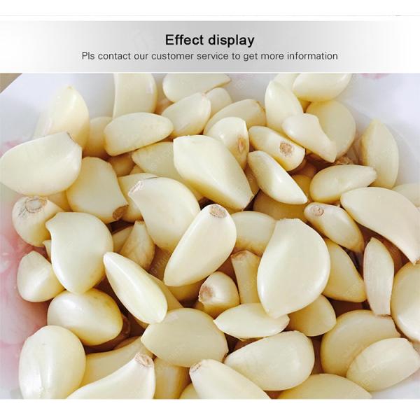 Garlic Peeling Machine garlic Destoning Peeling & polishing processing production