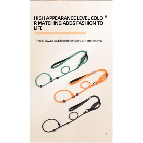 Pet Nylon P Chain Leash Dog Explosion-Proof Punch Handle Integrated Dog Walking Rope