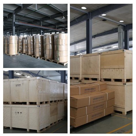 paste-pic-dp_uuid_22wwp