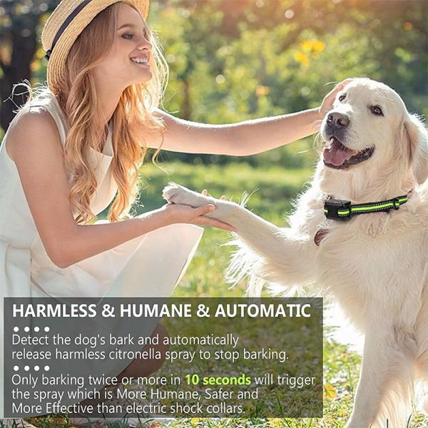 Outdoor Remote Control Dog Training Collars Rechargeable Dog Bark Training Collar