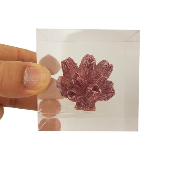 custom cube brick resin paper weight with inclusion embeddings