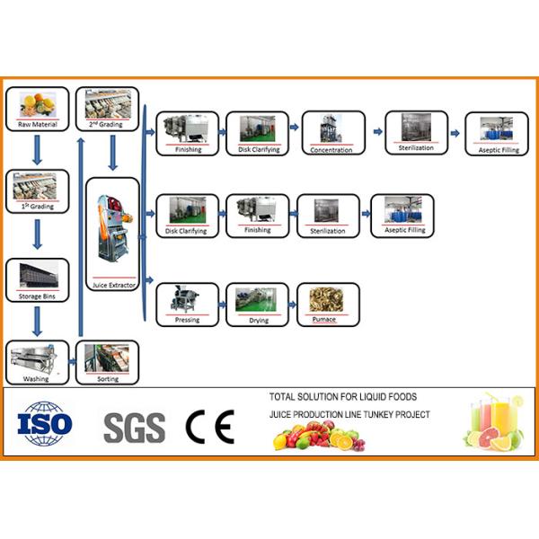 Automatic Pineapple Processing Line 10~20 Brix Fixation Content