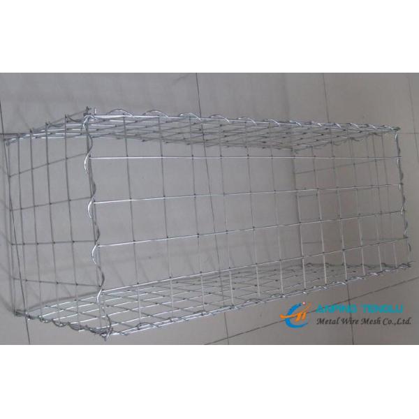Low Cost Gabion Mesh/Gabion Box With Galvanized Wire, PVC Coated Wire