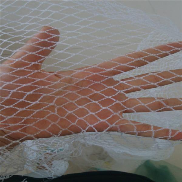 High Density Polyethylene Bird Netting For Plants / Fruit Trees Wrap Knitted Type
