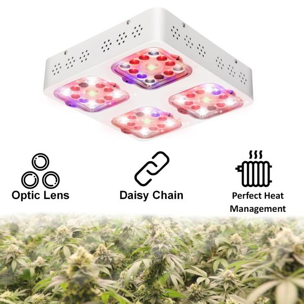 Green House 120W COB LED Grow Light For Veg And Flower 2'*2' Coverage