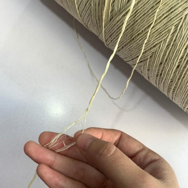 460tex 480tex 2ply Sausage Loop Twine Fibrillated Polypropylene twisted thread 220N