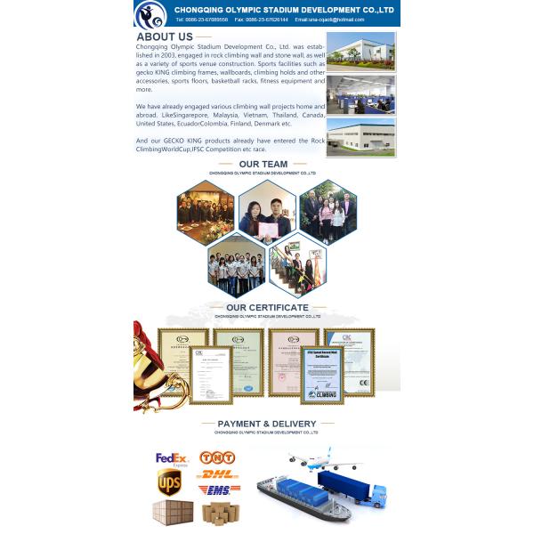 NO Inflatable Gecko King Outdoor/Indoor Rock Climbing Holds for School Climbing Walls