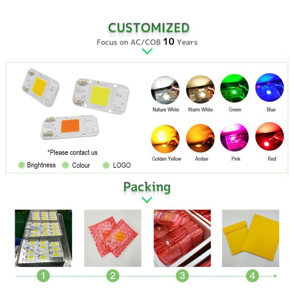 3000K 6000K AC COB LED Power 10W 20W 240V Warm Rgb LED Module