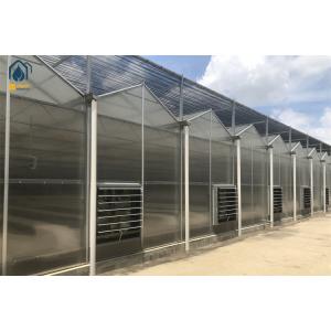 China Heavy Duty Smart Cultivation Polycarbonate Greenhouse Automated Hydroponic Greenhouse wholesale