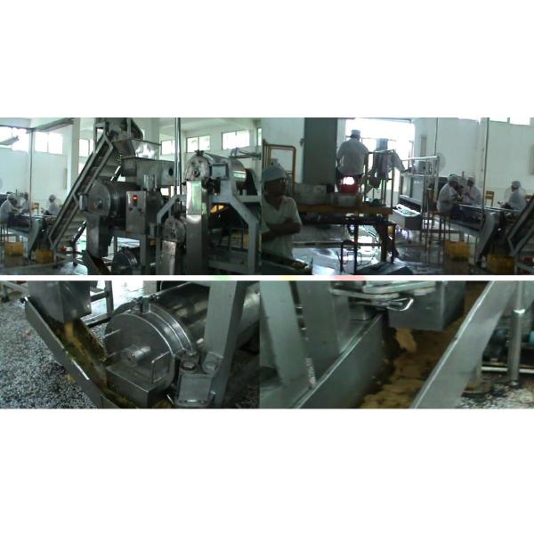 220V / 380V / 415V Mango Processing Line With Capacity 300 - 500kg/H Or Customization
