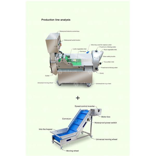 Customized Potato Fruit And Vegetable Processing Line