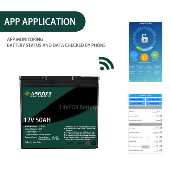 Smart Lifepo4 Battery 12v 30ah 6ah 7ah 8ah 22ah 24ah 25ah 12v 50ah Lithium Ion Battery BMS 4S Pack