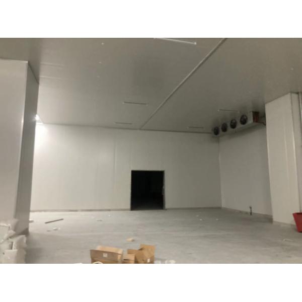 Polyurethane Sandwich Panel for Cold Storage Chiller Cooler Room