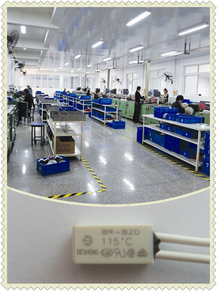 Automotive BR-B2D 60℃ Bimetal Circuit Breaker 250V / 5A For Small Motor