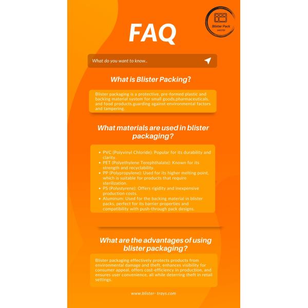 Disposable Two-Compartment Food Container PP Plastic Bento Lunch Box for Takeout Custom Order