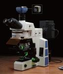 Optical Bright Field Fluorescence Microscopy , Led Fluorescent Inverted