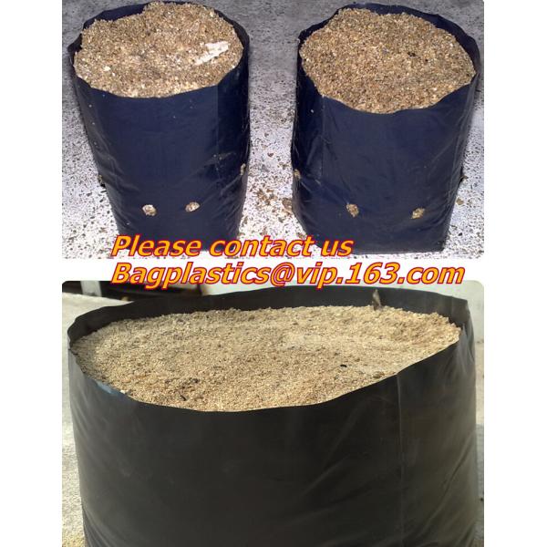 Garden used tomato plastic film cover,high light transmittance solar control seeding nursery greenhouse covers,100% virg