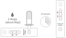 15 Minutes Antibody Fast Detection Kit 98.33% Specificity