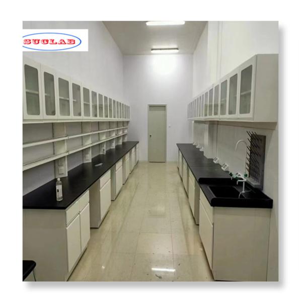 Chemistry Lab Bench Premium-Quality Laboratory Workbench with 50kg Capacity