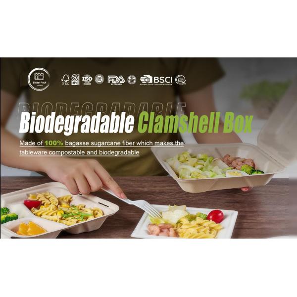 Biodegradable 3 Compartment Sugarcane sugarcane lunch box with Clear Lid Paper Pulp Tableware