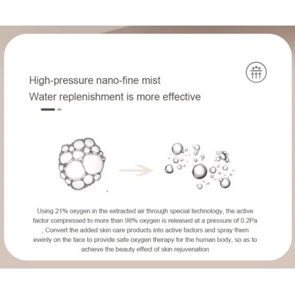 Rejuvenating Skin Handheld Oxygen Injector Oxygen Sprayer 220g