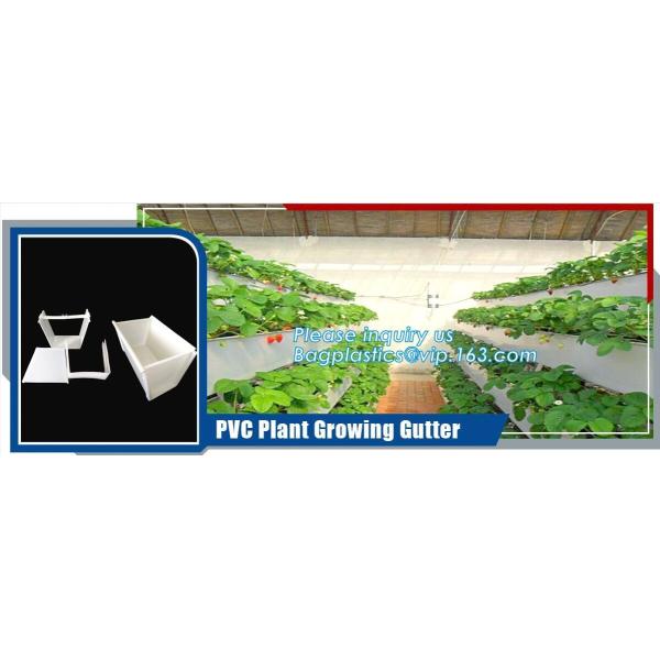 Garden used tomato plastic film cover,high light transmittance solar control seeding nursery greenhouse covers,100% virg