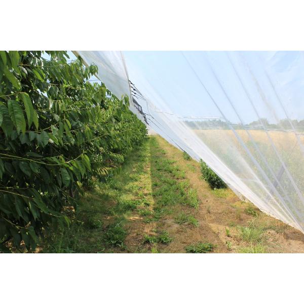 White Mosquito Net Window Screen , Mosquito Wire Mesh Eco Friendly