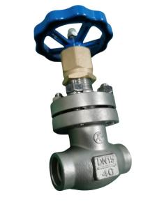 China Cryogenic DN15 Socket Weld Globe Valve Low Temperarure wholesale