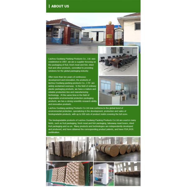 Biodegradable Paper Tray Fruits Packaging Kiwi Paper Moulded Pulp Caliber Tray Liner