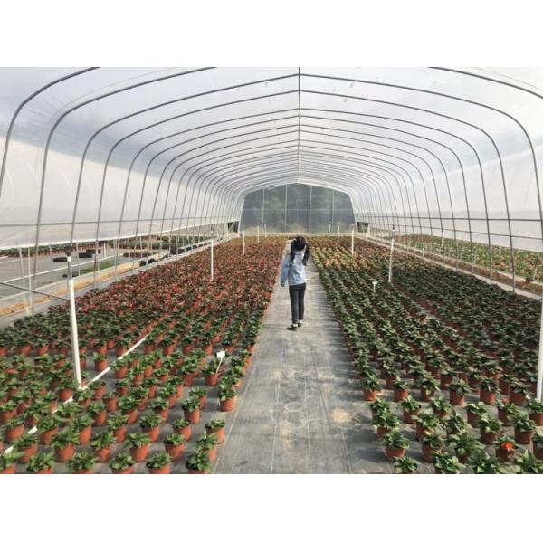 Commercial Agriculture High Tunnel Green Houses Single Span Metal Frame Greenhouse